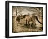 Suffolk Ponies-Tim Kahane-Framed Photographic Print