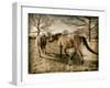 Suffolk Ponies-Tim Kahane-Framed Photographic Print