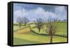 Suffolk Spring Sky-Joan Thewsey-Framed Stretched Canvas