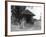 Suffolk Well House-null-Framed Photographic Print