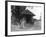 Suffolk Well House-null-Framed Photographic Print