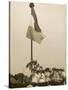 Suffragettes Speaking at a Hyde Park Demonstration-H^ Searjeant-Stretched Canvas