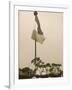 Suffragettes Speaking at a Hyde Park Demonstration-H^ Searjeant-Framed Photographic Print