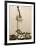 Suffragettes Speaking at a Hyde Park Demonstration-H^ Searjeant-Framed Photographic Print