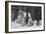 Suffragettes Turned Away, Illustration from an Article Entitled 'The Reassembling of Parliament'…-English Photographer-Framed Photographic Print