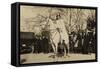 Suffragist Inez Milholland, Was the 'Herald' of Washington Parade, March 3, 1917-null-Framed Stretched Canvas