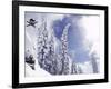 Sugar Bowl, California, USA-null-Framed Photographic Print