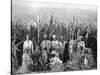 Sugar Cane Cutters, Jamaica, C1905-Adolphe & Son Duperly-Stretched Canvas