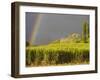 Sugar cane field, St-Philippe, South Reunion, Reunion Island, France-Walter Bibikow-Framed Photographic Print