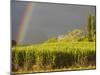 Sugar cane field, St-Philippe, South Reunion, Reunion Island, France-Walter Bibikow-Mounted Photographic Print