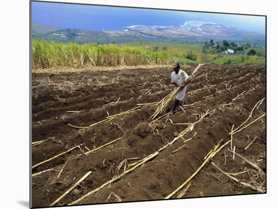 Sugar Cane Fields, Reunion Island, Indian Ocean-Sylvain Grandadam-Mounted Photographic Print