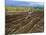 Sugar Cane Fields, Reunion Island, Indian Ocean-Sylvain Grandadam-Mounted Photographic Print