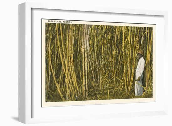 Sugar Cane, Florida-null-Framed Art Print