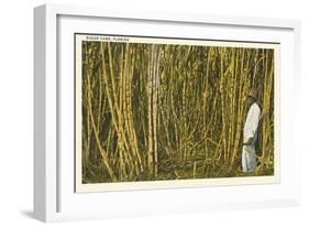 Sugar Cane, Florida-null-Framed Art Print