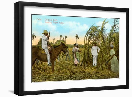 Sugar Cane Harvest, Cuba-null-Framed Art Print