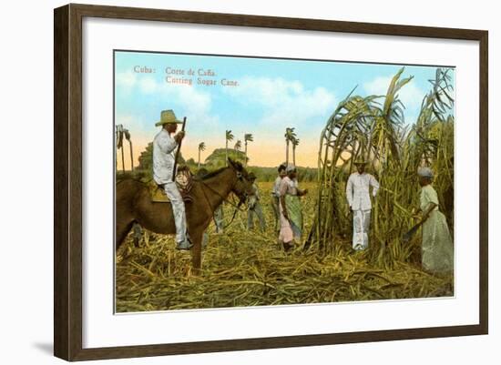 Sugar Cane Harvest, Cuba-null-Framed Art Print