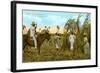 Sugar Cane Harvest, Cuba-null-Framed Art Print