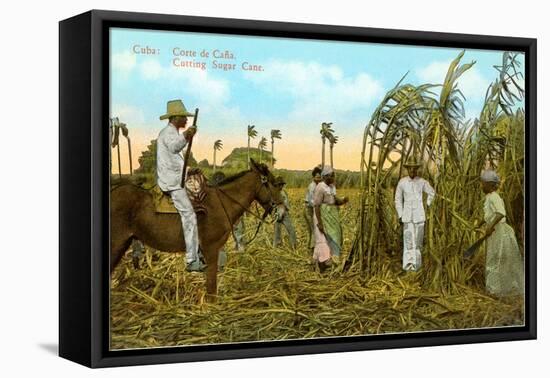 Sugar Cane Harvest, Cuba-null-Framed Stretched Canvas