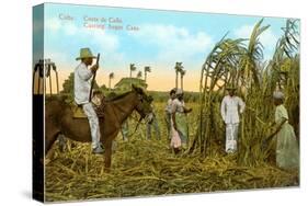 Sugar Cane Harvest, Cuba-null-Stretched Canvas