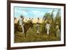 Sugar Cane Harvest, Cuba-null-Framed Premium Giclee Print