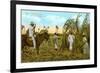 Sugar Cane Harvest, Cuba-null-Framed Premium Giclee Print