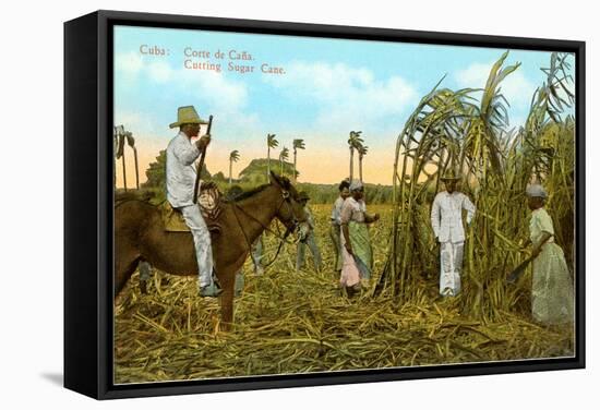 Sugar Cane Harvest, Cuba-null-Framed Stretched Canvas