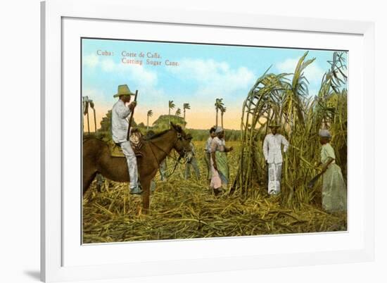 Sugar Cane Harvest, Cuba-null-Framed Art Print