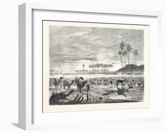 Sugar-Cane Harvest. Egypt, 1879-null-Framed Giclee Print