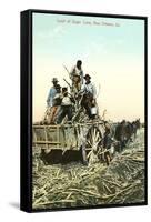 Sugar Cane Harvest, New Orleans-null-Framed Stretched Canvas