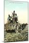 Sugar Cane Harvest, New Orleans-null-Mounted Art Print