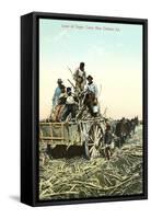 Sugar Cane Harvest, New Orleans-null-Framed Stretched Canvas