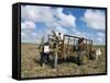 Sugar Cane Harvest, South Coast, Dominican Republic, West Indies, Caribbean, Central America-Guy Thouvenin-Framed Stretched Canvas