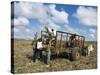 Sugar Cane Harvest, South Coast, Dominican Republic, West Indies, Caribbean, Central America-Guy Thouvenin-Stretched Canvas