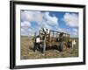 Sugar Cane Harvest, South Coast, Dominican Republic, West Indies, Caribbean, Central America-Guy Thouvenin-Framed Photographic Print