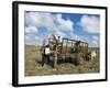 Sugar Cane Harvest, South Coast, Dominican Republic, West Indies, Caribbean, Central America-Guy Thouvenin-Framed Photographic Print
