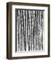 Sugar Cane, Mexico, 1929-Tina Modotti-Framed Giclee Print