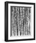 Sugar Cane, Mexico, 1929-Tina Modotti-Framed Giclee Print
