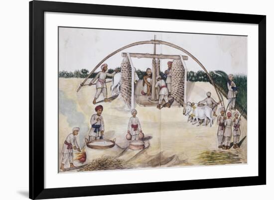 Sugar Cane Pressing, Kutch School, circa 1840-50-null-Framed Giclee Print