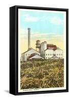 Sugar Cane Processing Mill-null-Framed Stretched Canvas