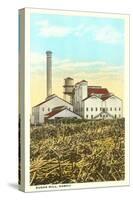 Sugar Cane Processing Mill-null-Stretched Canvas