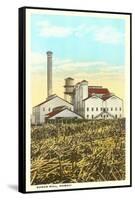 Sugar Cane Processing Mill-null-Framed Stretched Canvas
