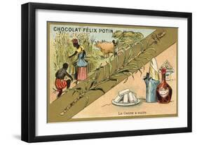 Sugar Cane-null-Framed Giclee Print