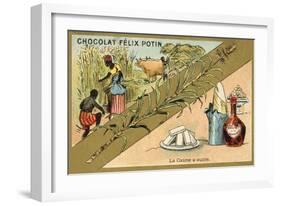 Sugar Cane-null-Framed Giclee Print