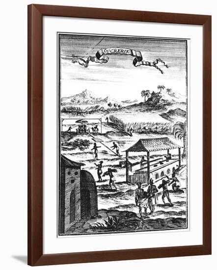 Sugar Factory and Plantation in the West Indies, 1686-Allain Manesson Mallet-Framed Giclee Print