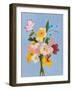 Sugar Flowers-Pamela Munger-Framed Art Print