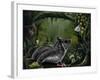 Sugar Glider-Greg Farrugia-Framed Giclee Print