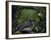 Sugar Glider-Greg Farrugia-Framed Giclee Print