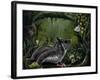 Sugar Glider-Greg Farrugia-Framed Giclee Print