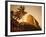 Sugar Loaf Mountain, Rio de Janeiro, Brazil-null-Framed Photographic Print