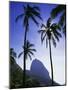 Sugar Loaf Mountain, Rio de Janeiro, Brazil-null-Mounted Photographic Print